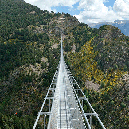 25% on Tibetan bridge